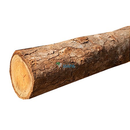 PONTALETE EUCALIPTO 8.00 MTS