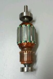 Rotor 220V para Lixadeira DW411 Tipo 1 Dewalt