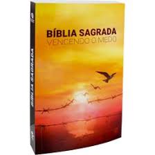 Bíblia Sagrada Vencendo O Medo - NAA - Brochura - SBB