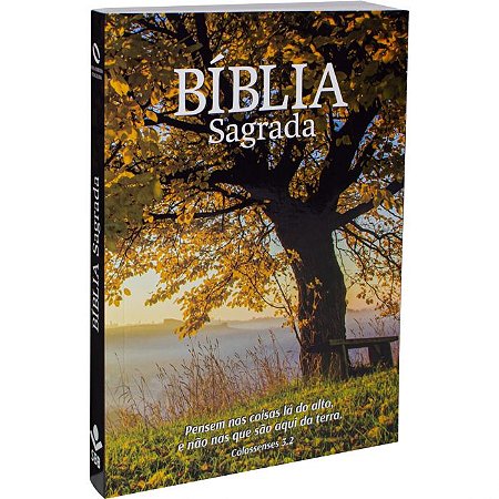 Bíblia Sagrada - NAA - Lt Normal - Brochura - SBB