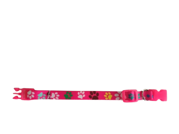 Coleira elastica para gato