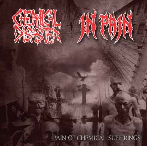 Chemical Disaster/In Pain