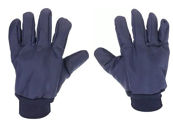 Luva de Segurança Térmica Nylon Forrada Azul - CA 41472