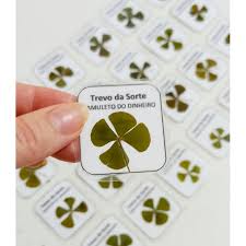 Trevo Autentico (Real) 4 Folhas