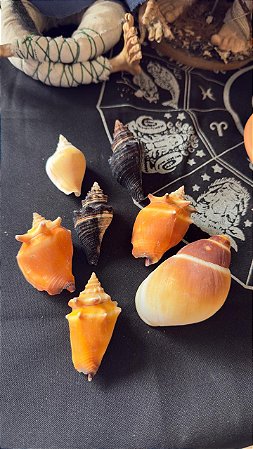 Concha Grande - Elemento água