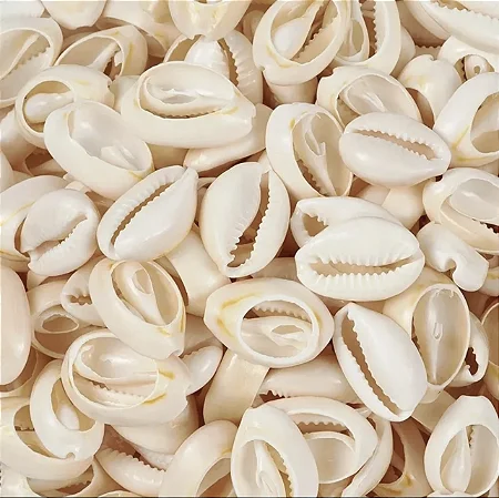 Búzios Comum- Mini Und