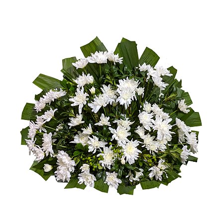 Tufo com Crisâtemos Brancos Especial