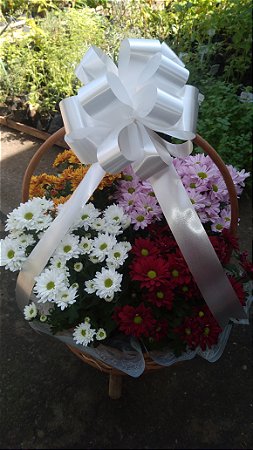 Cesta de crisântemo para velório