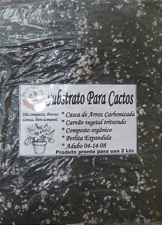Substrato para cactos