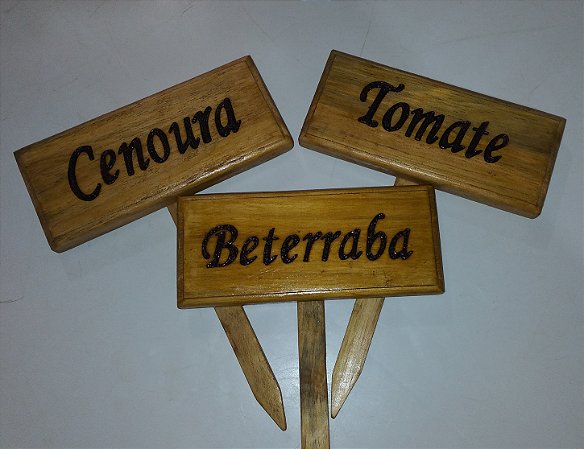 Kit 10 Placas de identificação de plantas para hortas  jardins e floricultura