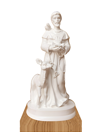 Imagem São Francisco - Mini