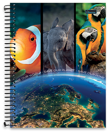 CADERNO UNIV  10M 200F BLISS MISTO