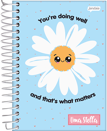 CADERNO ESP UNIVERSITÁRIO 80FLS STELLA  JANDAIA