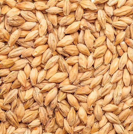 Malte Pale Ale Agrária