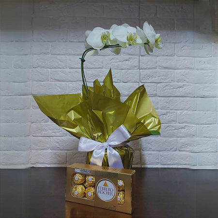 Orquídea Phalaenopsis com Ferrero Rocher 8 unidades