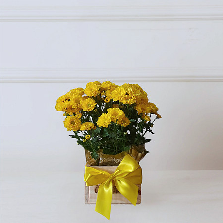 Caixa Yellow Heart - Mini Margarida