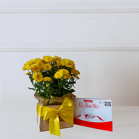 Caixa Yellow Heart - Mini Margarida com Raffaello