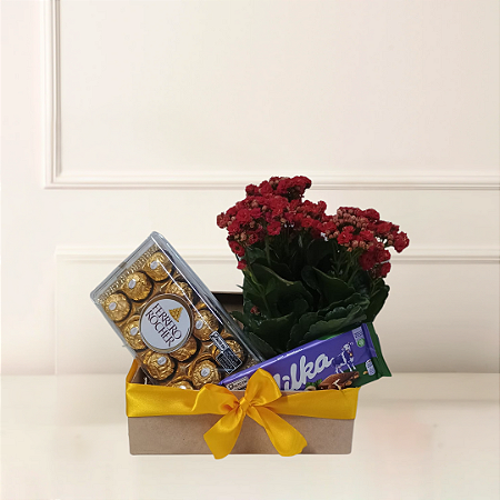 Baú de Flores Milka Rocher