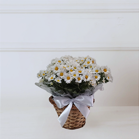 Cestinha Amores de Margaridas