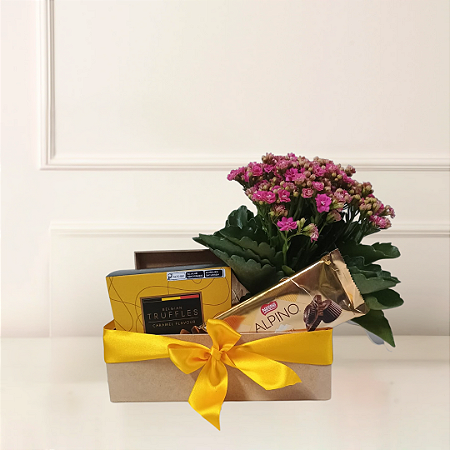 Baú Flores e Chocolates