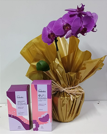 Encanto Dourado & Lavanda