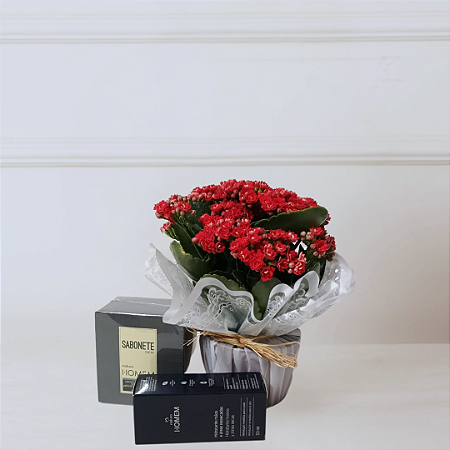 Kit Natura e Flores - Kalanchoe Vermelha e Natura Homem