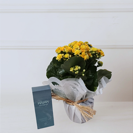 Kit Natura e Flores - Kalanchoe Amarela e Desodorante