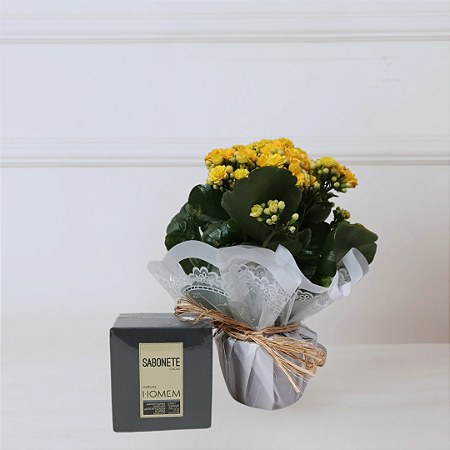 Kit Natura e Flores - Kalanchoe Amarela e Sabonete