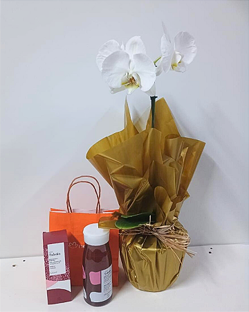 Essência Pureza Dourada