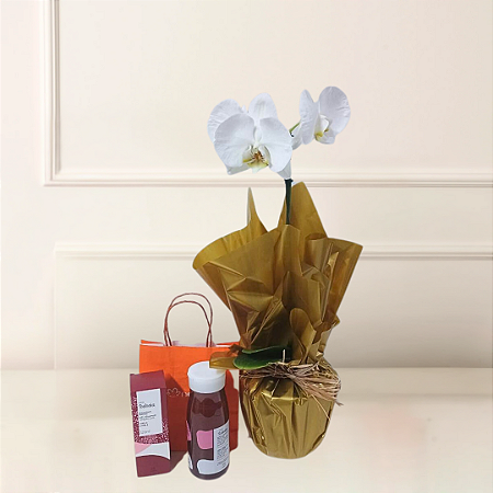 Kit Natura e Flores - Orquídea Phalaenopsis Branca e Tododia Cereja e Avelã
