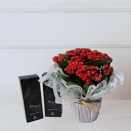 Kit Natura e Flores - Kalanchoe e Creme e Pós Barba