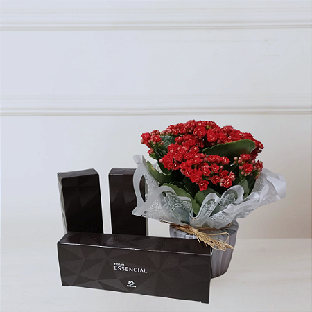 Kit Natura e Flores - Kalanchoe e Natura Essencial