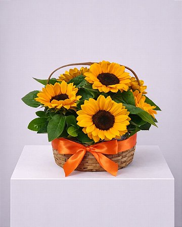 Cesta Girassóis Clássicos