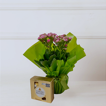 Vaso Kalanchoe Rosa com Chocolate