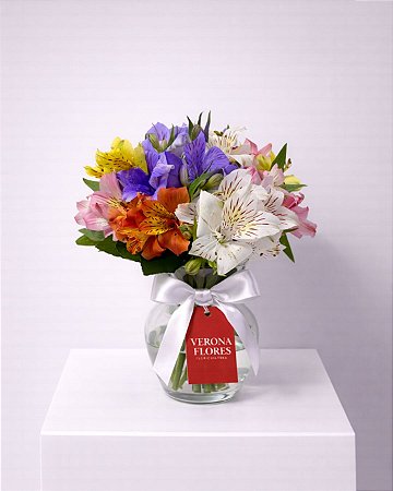 Arranjo Astromélias Coloridas Elegance