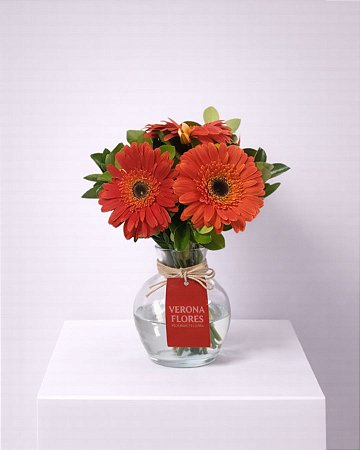 Arranjo de Gérberas Laranja no Vaso
