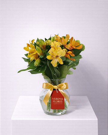 Arranjo Luz do Campo