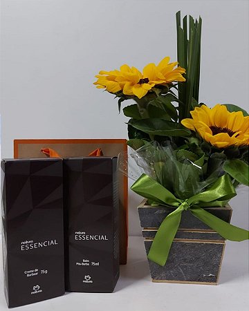 Arranjo Essência Solar