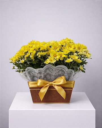 Arranjo Jardim Radiante