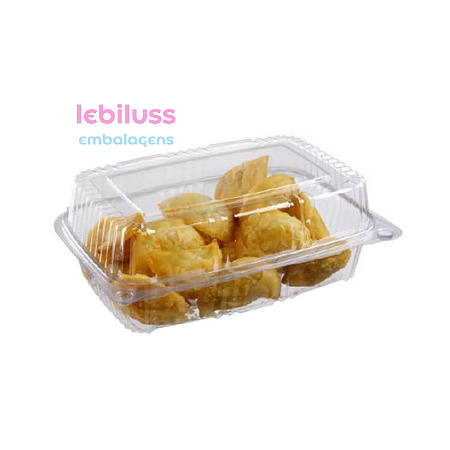 100 Unid Embalagem Retangular Tampa Articulada para Pães Lanches Doces e Salgados em Geral Sanpack® S 13 caixa Caixa fechada