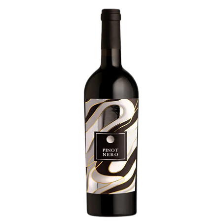 Vinho Pinot Nero Azienda Dissegna IGT Vêneto Itália Natural Orgânico