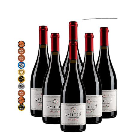 Promoção Vinho Amitié Terroir Pinot Noir 5+1