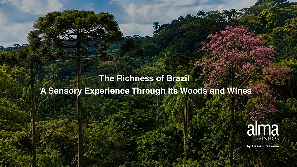 The Richness of Brazil — A Sensory Experience Through Its Woods and Wines