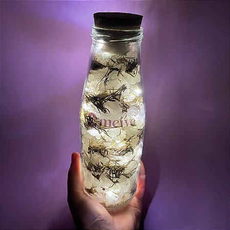 Luz que me Guia - Luminária