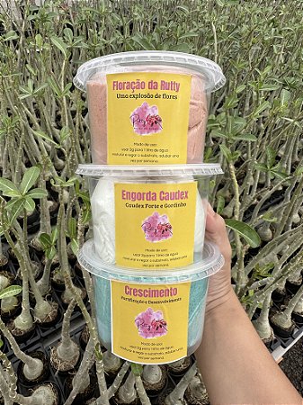 KIT ADUBAÇÃO DA RUTTY