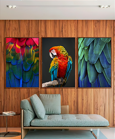 Trio Quadros Arara Vermelha