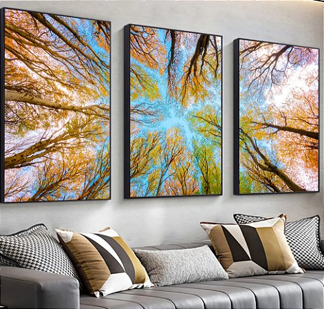 Quadro Trio Paisagens Céu acima das Árvores