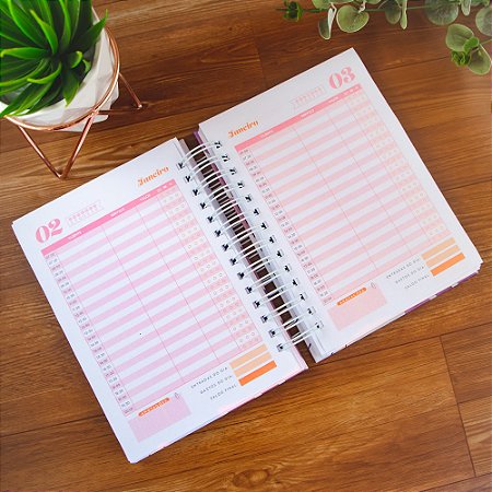 Agenda Premium A5