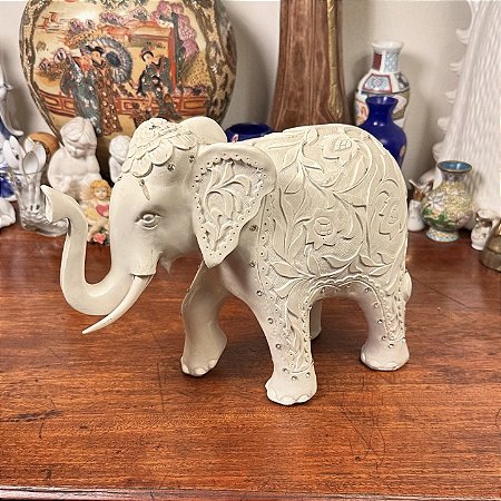 Elegante elefante indiano