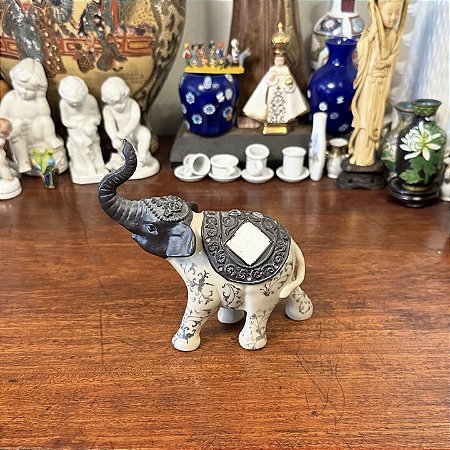 Elegante elefante indiano.